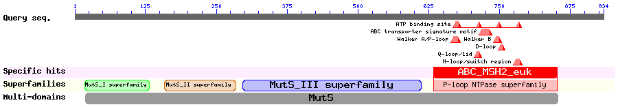 CD search result summary